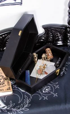 The Haunted Mansion Aeternal Coffin Shadow Box Accessories