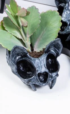 Sarah Mudle Bat Planter | Silver