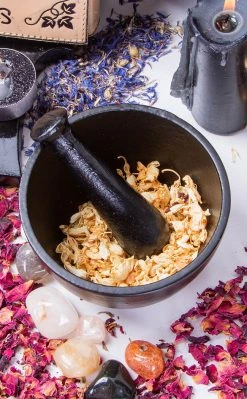 TB Witchcraft Black Cast Iron Mortar & Pestle