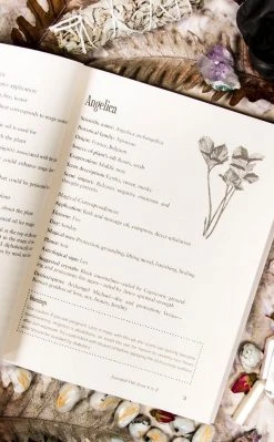 Occult Books Blackthorn's Botanical Magic