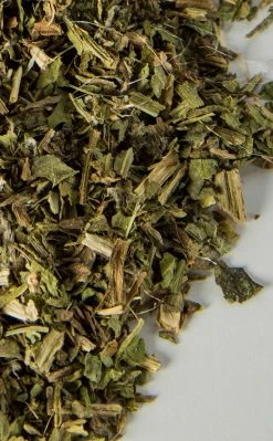 Witch Herbs Blessed Thistle | Herbal Alchemy Witchcraft