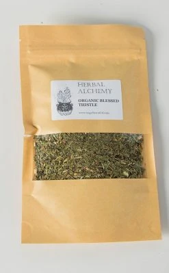 Witch Herbs Blessed Thistle | Herbal Alchemy Witchcraft