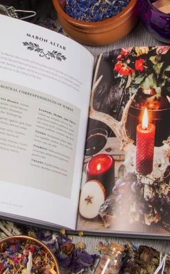 Occult Books Witchcraft Book Of Altars And Sacred Spaces