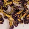 Witch Herbs Butterfly Pea | Witchcraft Herbs
