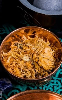 Witch Herbs Calendula | Witchcraft Herbs