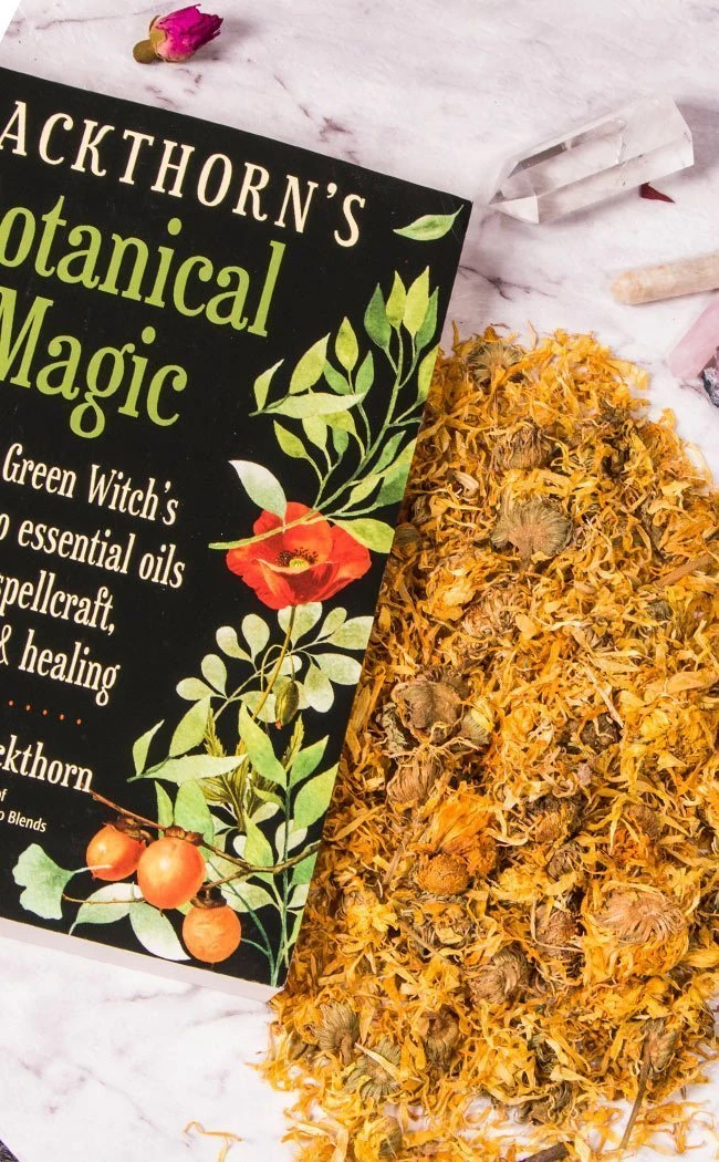 Witch Herbs Calendula | Witchcraft Herbs 6 Witch Herbs Calendula | Witchcraft Herbs