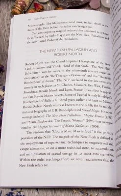 Occult Books Carnal Alchemy Witchcraft