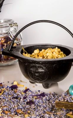 Cauldrons Cast Iron Cauldron | Black Pentacle