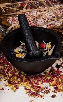 TB Cast Iron Mortar And Pestle Witchcraft
