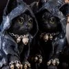 Gothic Gifts Cat Witch Statue Home & Gifts