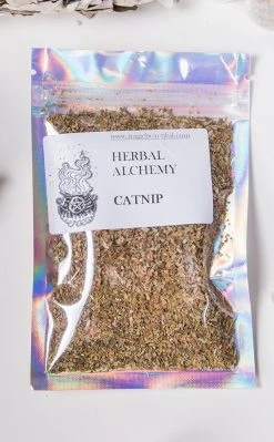 Witch Herbs Catnip | Witchcraft Herbs