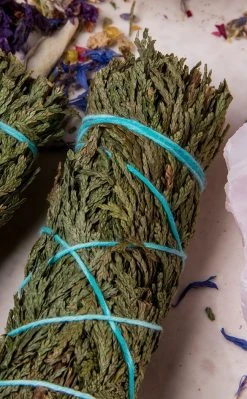 Incense Cedar Smoke Cleansing Stick | 10cm