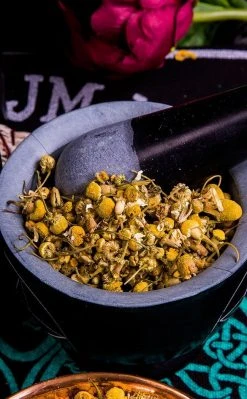 Witch Herbs Chamomile | Witchcraft Herbs