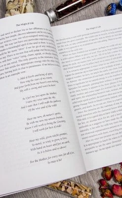 Occult Books Craft Of The Wild Witch Witchcraft