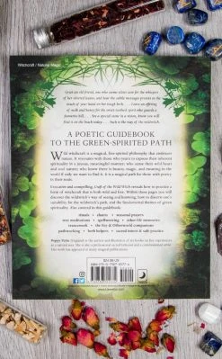 Occult Books Craft Of The Wild Witch Witchcraft