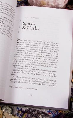 Occult Books Witchcraft Cunningham's Encyclopedia Of Wicca In The Kitchen