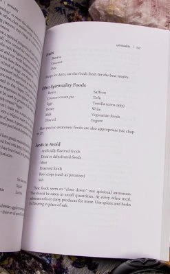 Occult Books Witchcraft Cunningham's Encyclopedia Of Wicca In The Kitchen