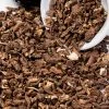 Witch Herbs Dandelion Root | Witchcraft Herbs