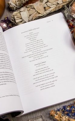 Occult Books Witchcraft Dark Goddess Craft