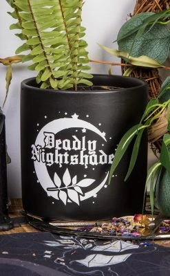 Death By Plants Home & Gifts Deadly Nightshade Plant Pot | White On Black
