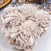 Crystals Witchcraft Desert Rose Cluster 2 Crystals Witchcraft Desert Rose Cluster