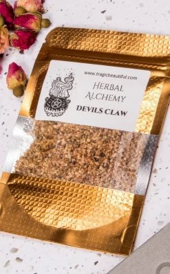 Witch Herbs Devil's Claw | Witchcraft Herbs 7 Witch Herbs Devil's Claw | Witchcraft Herbs