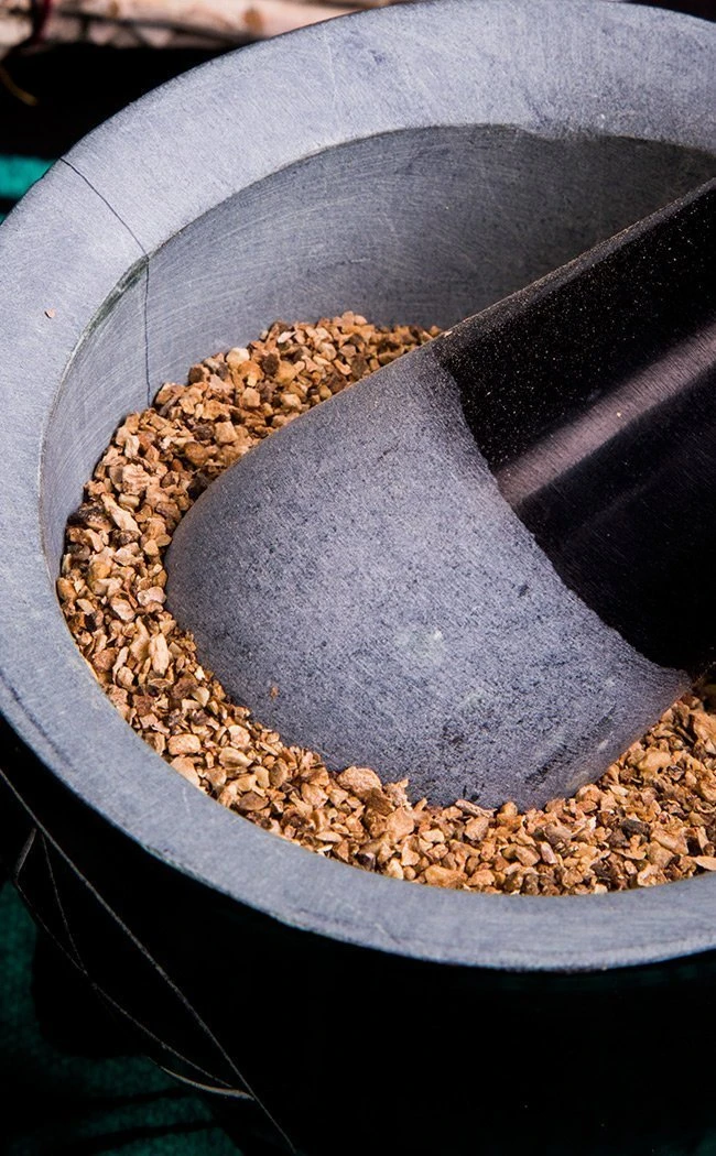 Witch Herbs Devil's Claw | Witchcraft Herbs 3 Witch Herbs Devil's Claw | Witchcraft Herbs