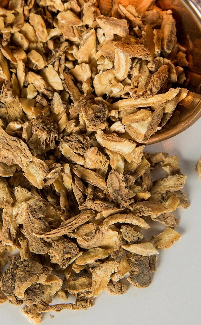 Witch Herbs Dong Quai Root | Witchcraft Herbs 3 Witch Herbs Dong Quai Root | Witchcraft Herbs