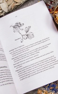 Occult Books Encyclopedia Of Natural Magic Witchcraft 10 Occult Books Encyclopedia Of Natural Magic Witchcraft