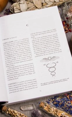 Occult Books Encyclopedia Of Wicca & Witchcraft