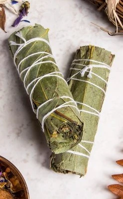 Incense Eucalyptus Smoke Cleansing Stick