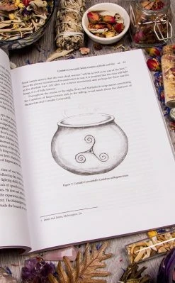 Occult Books Goddess Afoot! : Practicing Magic With Celtic And Norse Goddesses Witchcraft
