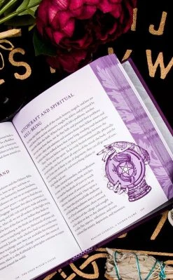 Occult Books Witchcraft Good Witch's Guide