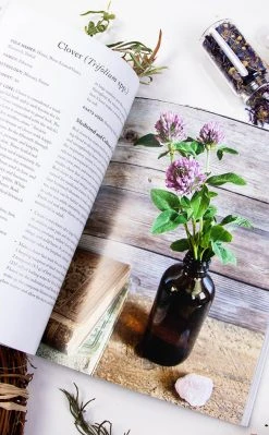 Occult Books Green Witch Magick