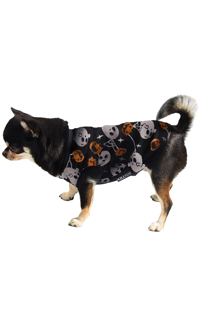 Killstar Haunted Pumpkin Pet Vest 3 Killstar Haunted Pumpkin Pet Vest