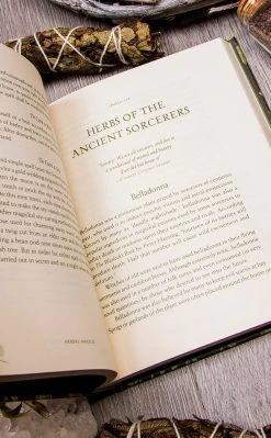 Occult Books Witchcraft Herbal Magick: A Guide To Herbal Enchantments, Folklore & Divination