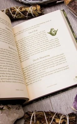 Occult Books Witchcraft Herbal Magick: A Guide To Herbal Enchantments, Folklore & Divination