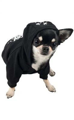 Killstar Sale Hex Pet Hoodie