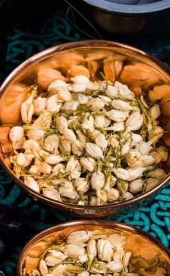 Witch Herbs Jasmine Buds | Witchcraft Herbs