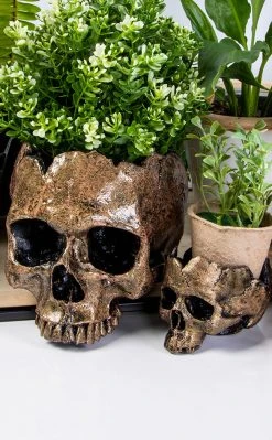Sarah Mudle Large Skull Planter | Rose Gold
