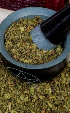 Witch Herbs Lemon Verbena | Witchcraft Herbs