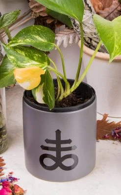 Death By Plants Leviathan Cross Plant Pot | Black On Grey Home & Gifts