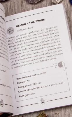 Occult Books Witchcraft Little Book Of The Zodiac