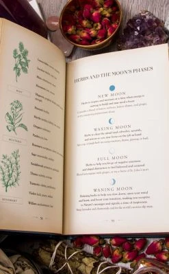 Occult Books Moon Magic-Aurora Kane Witchcraft