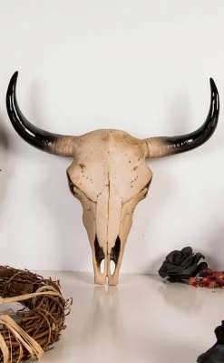 Gothic Gifts Morbid Cow Skull | Wall Plaque Home & Gifts