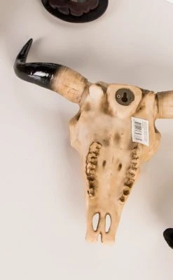 Gothic Gifts Morbid Cow Skull | Wall Plaque Home & Gifts