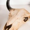 Gothic Gifts Morbid Cow Skull | Wall Plaque Home & Gifts