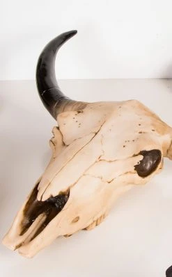 Gothic Gifts Morbid Cow Skull | Wall Plaque Home & Gifts