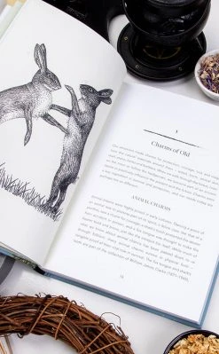 Occult Books Nature's Hidden Charms