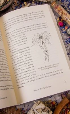 Occult Books Old World Witchcraft